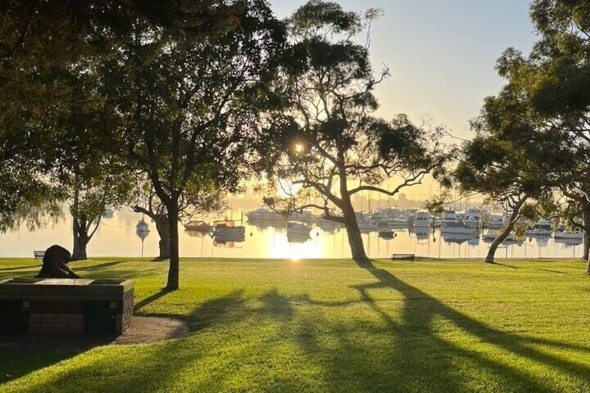 Yoga Experience in Perth