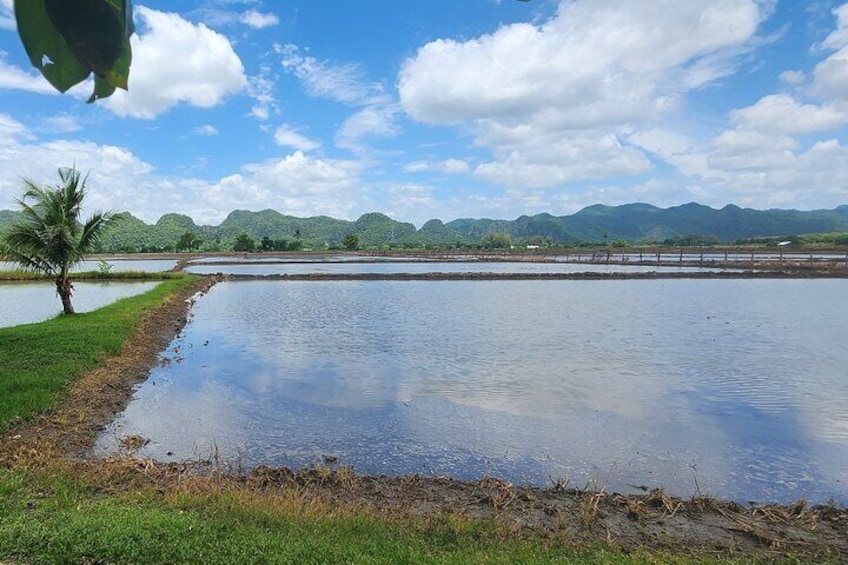 E-Scooter and E-Bike Tour in Kanchanaburi