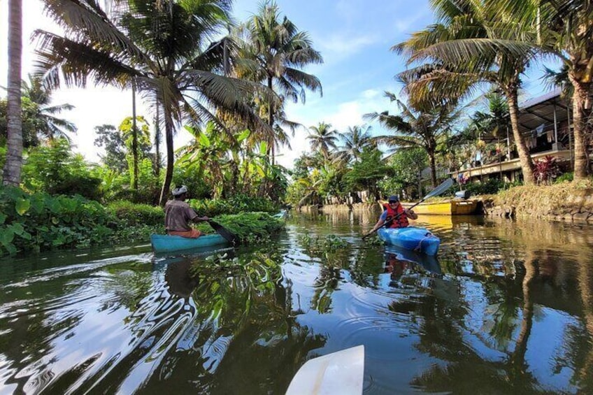 Backwaters Kayaking Tour at Alleppey 