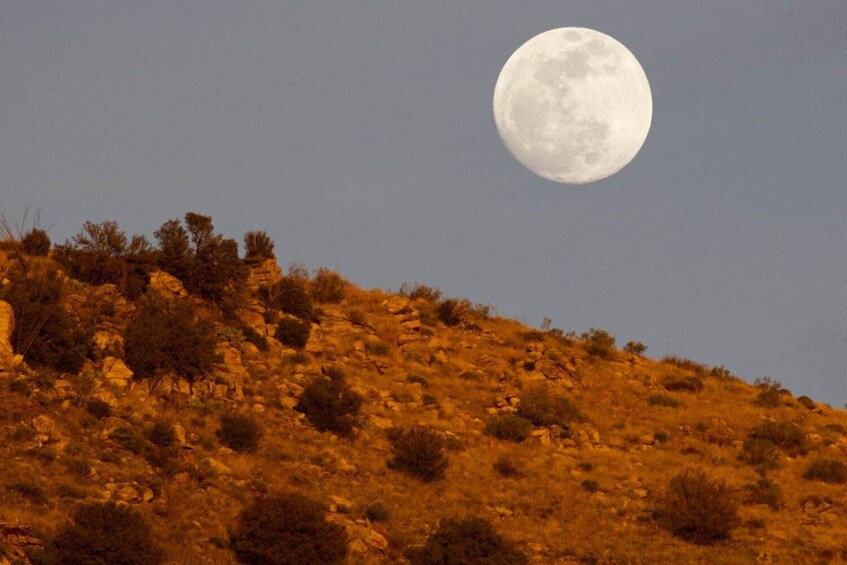 Mount Lemmon Scenic Byway Self-Guided Driving Audio Tour