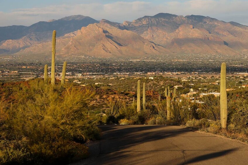 Mount Lemmon Scenic Byway Self-Guided Driving Audio Tour