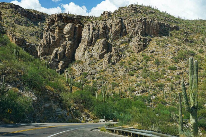 Saguaro National Park and Mount Lemmon Self-Guided Tour Bundle