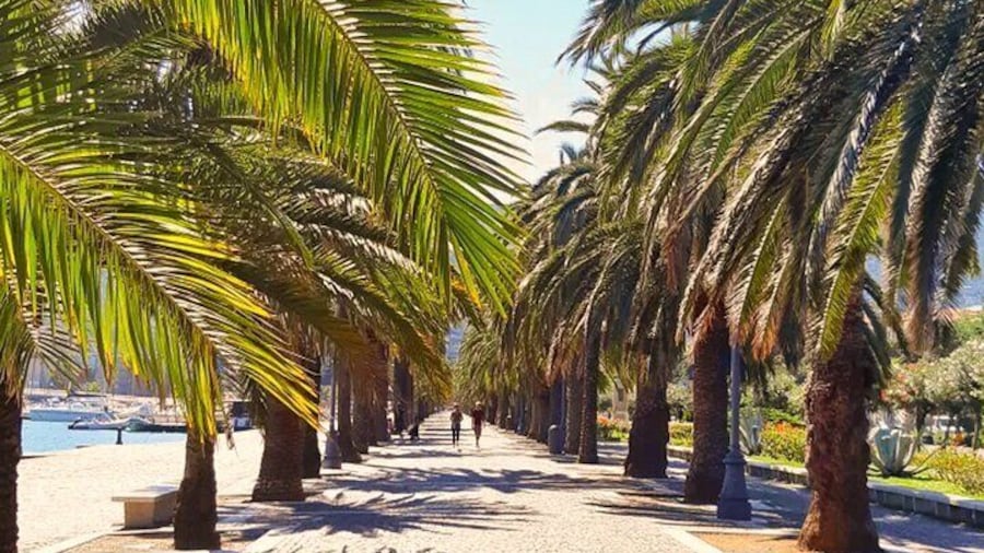 La Spezia 3h Sightseeing Walking Tour with Italian Inspired Music