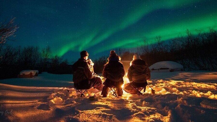 Aurora Hunt Tour with Citizen Science in Tromso