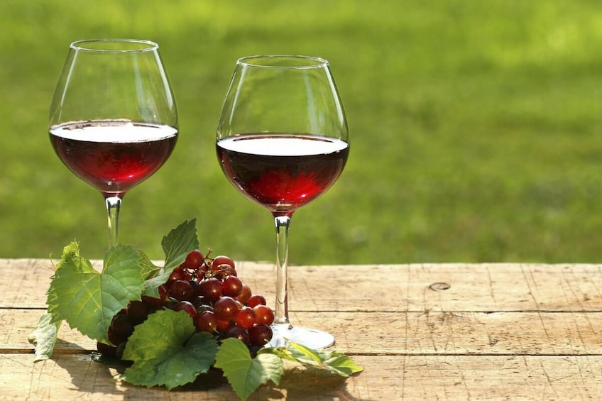 Mendoza: Maipu wines and flavours  