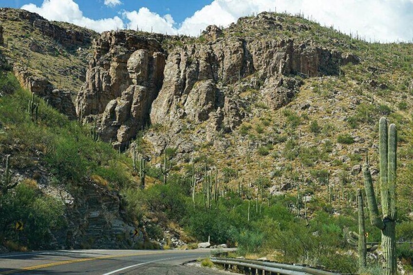 Mount Lemmon Self-Guided Driving Audio Tour