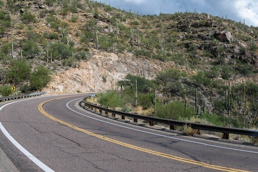 Mount Lemmon Self-Guided Driving Audio Tour