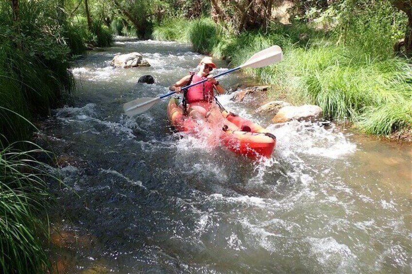 Paddles to Pints: Guided Kayak w/Local Craft Beers