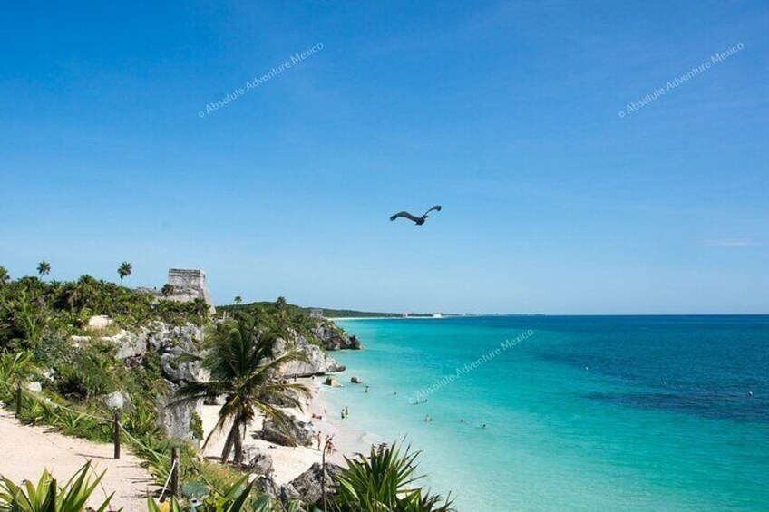 Tulum Private Tour