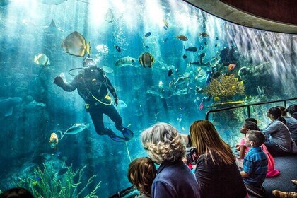 Private Long Beach Aquarium of the Pacific with Private Transfers