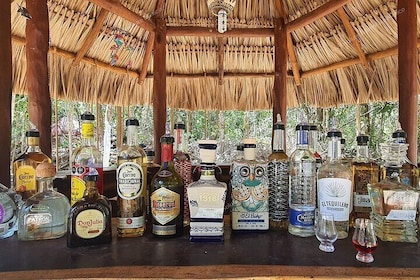 Tequila Tasting Private Tour with Cenote Swim