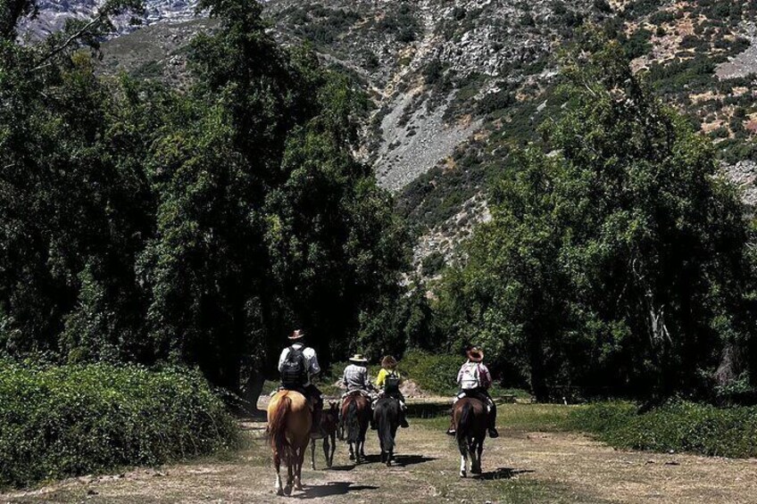 From Santiago to the Andes: 4x4, horseback riding, waterfall visit and barbecue