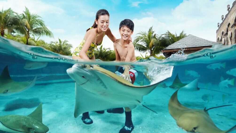 Ultimate Marine Life Experience at Adventure Cove Waterpark™