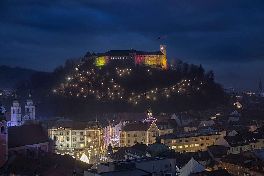 Picture 9 for Activity Ljubljana: Castle Entry Ticket with Optional Funicular Ride