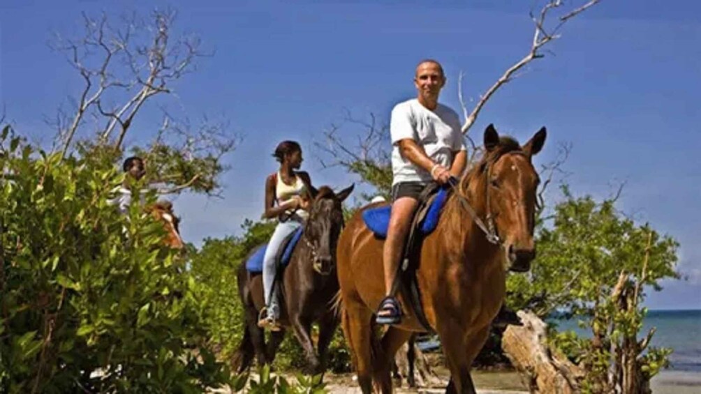 Picture 8 for Activity Chukka Horseback Ride & Swim from Montego Bay