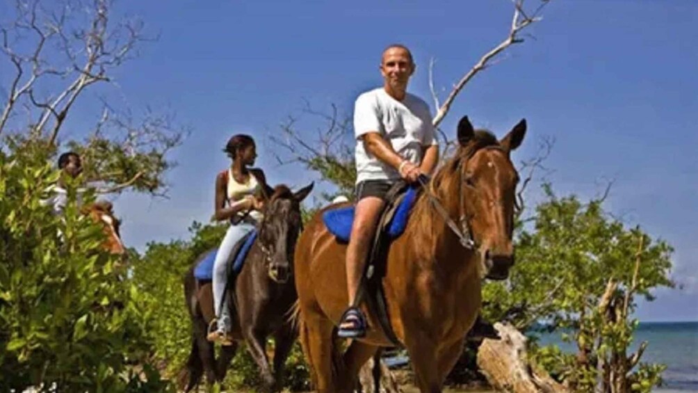 Picture 8 for Activity Chukka Horseback Ride & Swim from Montego Bay