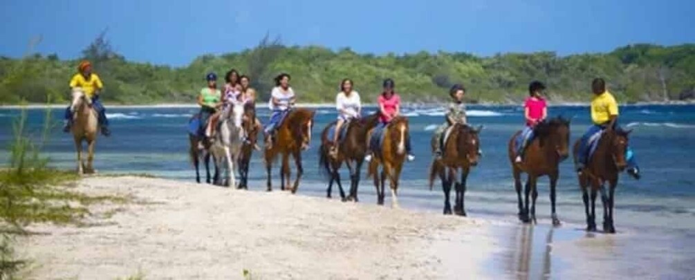 Picture 5 for Activity Chukka Horseback Ride & Swim from Montego Bay