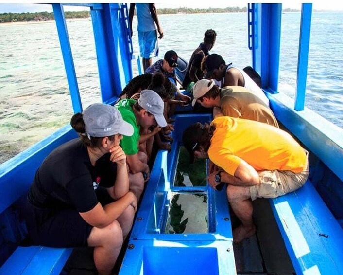 Picture 2 for Activity Diani Beach: 2-Hour Glass Bottom-Boat Cruise