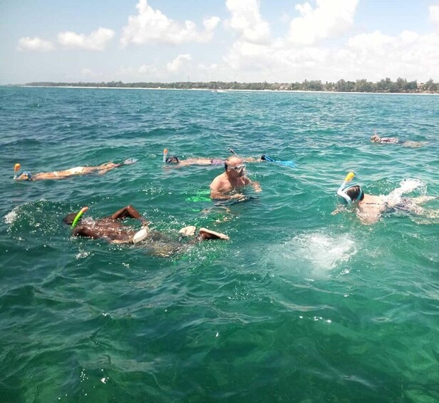 Picture 7 for Activity Diani Beach: 2-Hour Glass Bottom-Boat Cruise