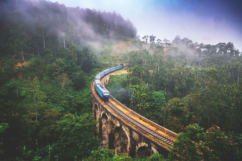 Picture 4 for Activity Full-Day Guided Tour to Ella/Rawana Falls/Little Adam's peak