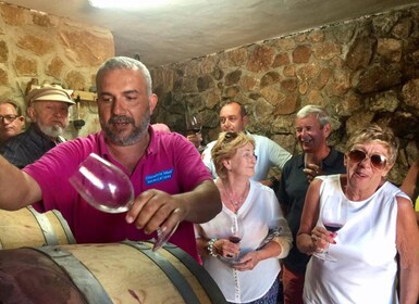 TOP WINE TOUR- Viinitilan ja kellarin vierailu + 6 huippuviiniä + tapakset