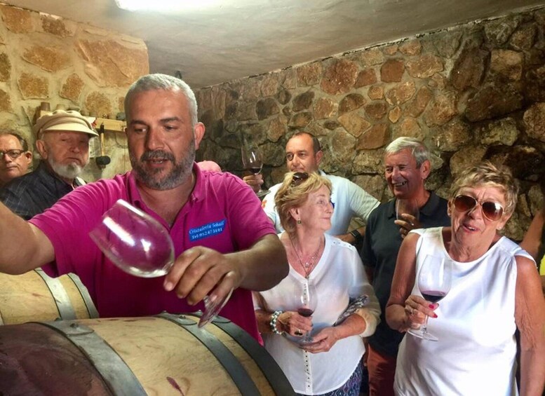 TOP WINE TOUR- Vineyard & cellar visit + 6 top wines + tapas