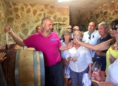 TOUR EXCLUSIVO DEL VINO- Visita a viñedos y bodegas- 6 vinos+tapas