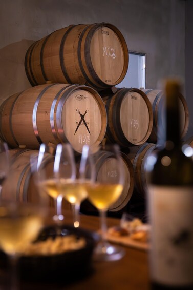 Picture 8 for Activity TOP WINE TOUR- Vineyard & cellar visit + 6 top wines + tapas