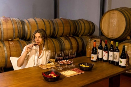 TOP WINE TOUR: visita a viñedos y bodegas, 6 de los mejores vinos y tapas