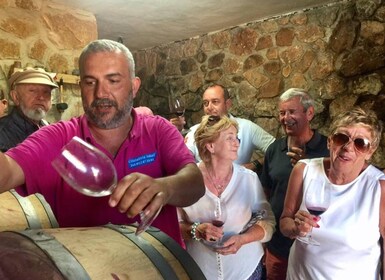 TOP WINE TOUR- Viinitilan ja kellarin vierailu + 6 huippuviiniä + tapakset