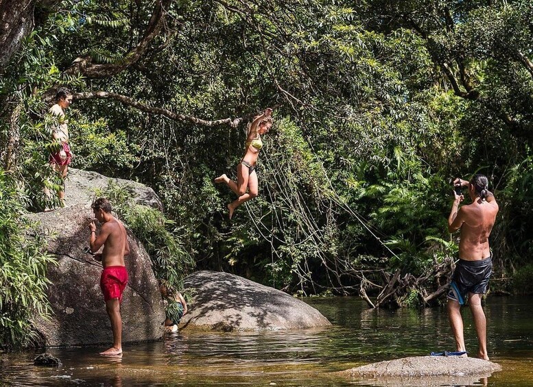 Picture 5 for Activity Atherton Tablelands: Lakes, Waterfalls, Rainforest Day Tour