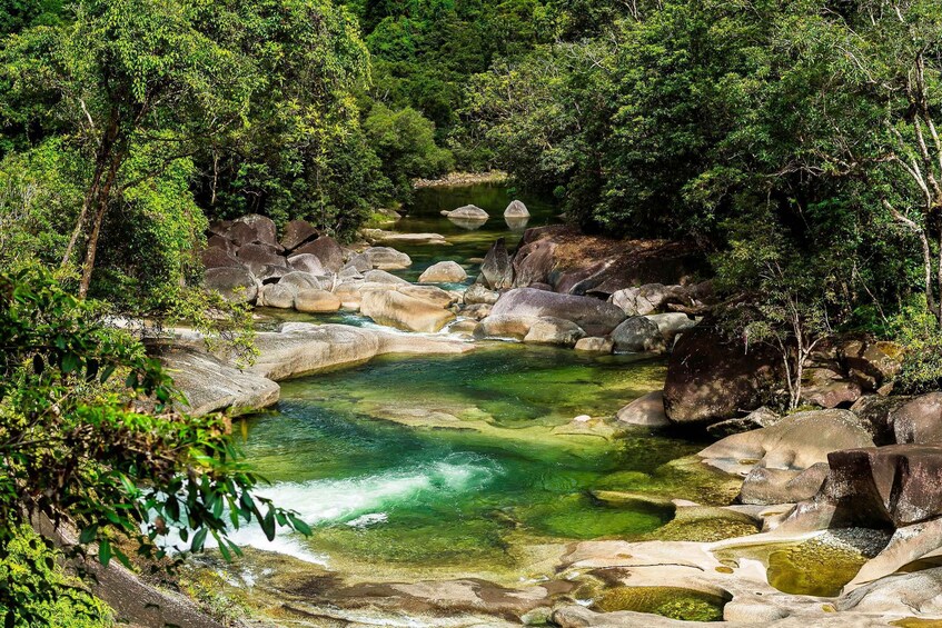 Picture 3 for Activity Atherton Tablelands: Lakes, Waterfalls, Rainforest Day Tour