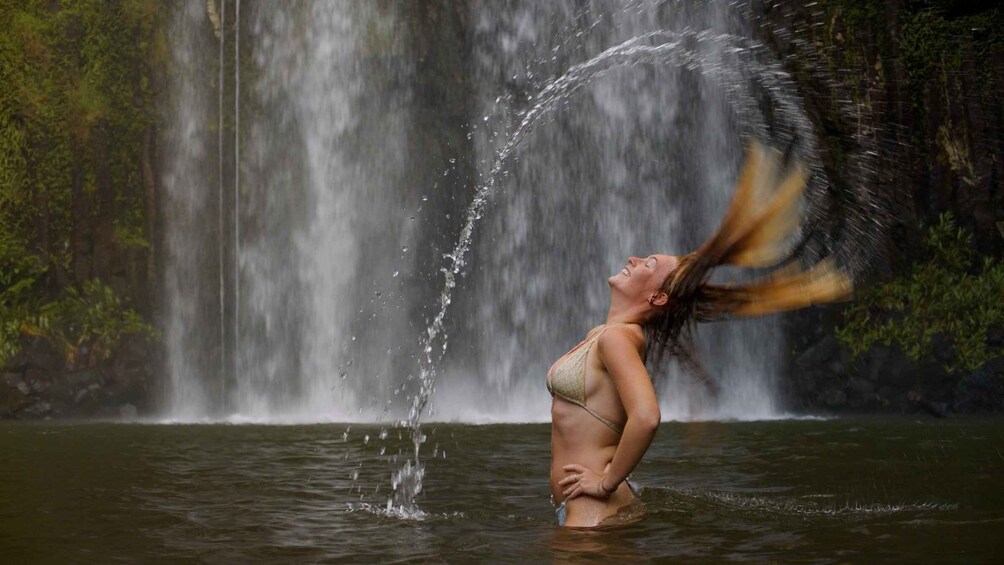 Atherton Tablelands: Lakes, Waterfalls, Rainforest Day Tour