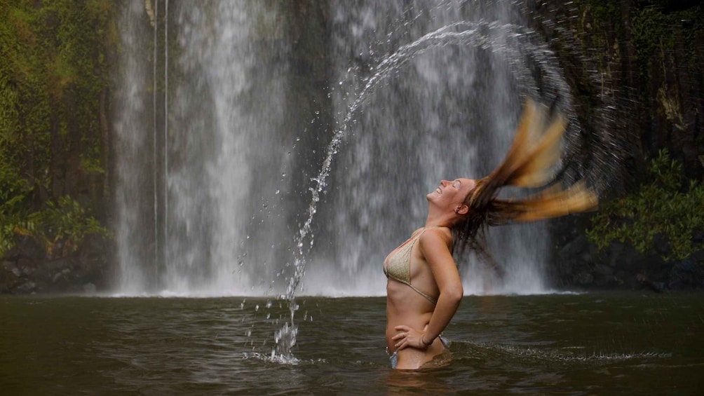Atherton Tablelands: Lakes, Waterfalls, Rainforest Day Tour