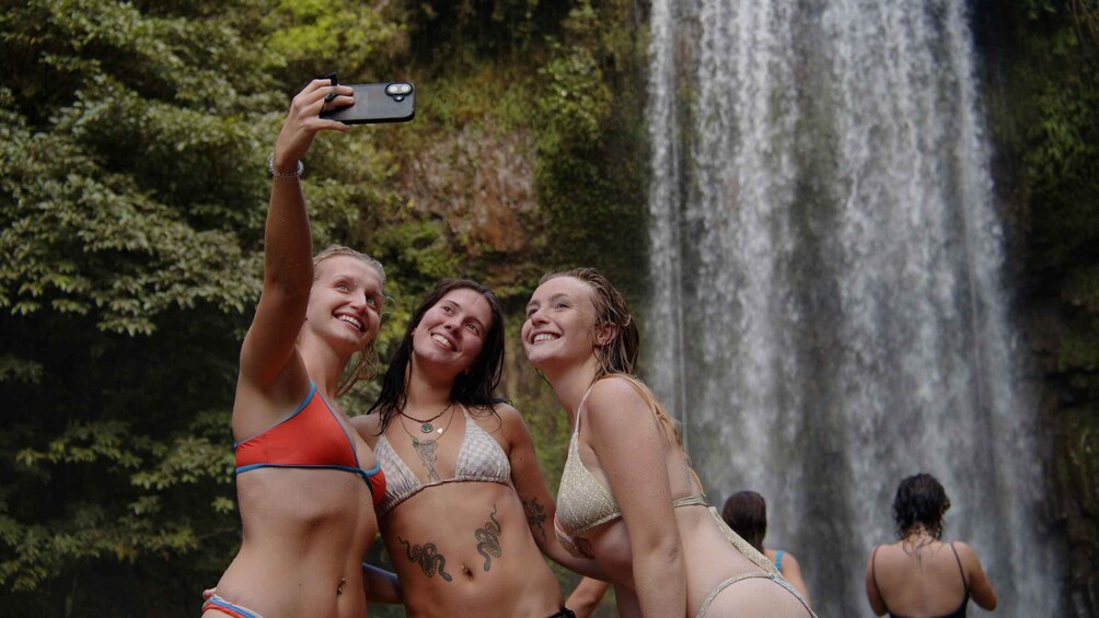 Picture 3 for Activity Atherton Tablelands: Lakes, Waterfalls, Rainforest Day Tour