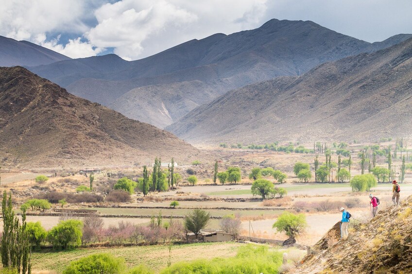 Excursion to Cachi, Calchaquíes Valleys