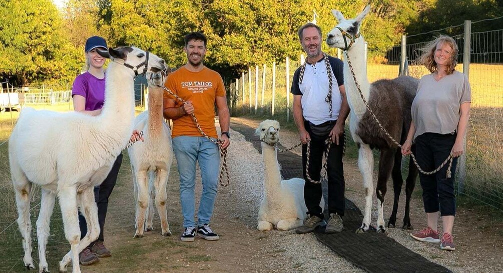 Picture 5 for Activity Mödling: Scenic Guided Hike with Alpacas and Llamas