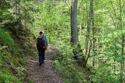 Excursión de senderismo por Sigulda: un día en la Suiza de Letonia