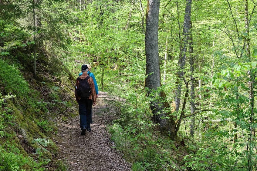 Sigulda Hiking Tour: A Day in the Switzerland of Latvia