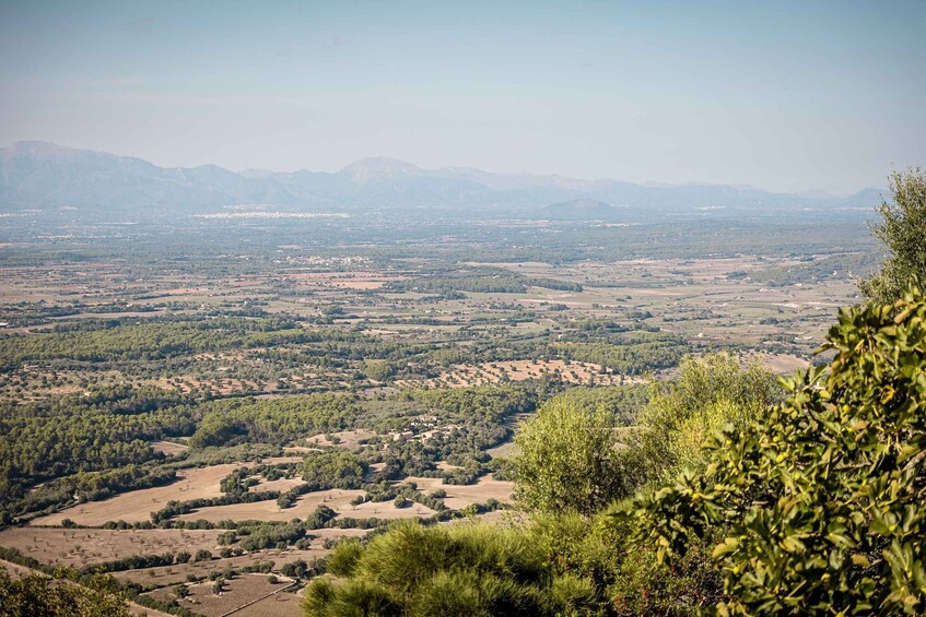 Picture 12 for Activity On Road Buggy Tour Mallorca