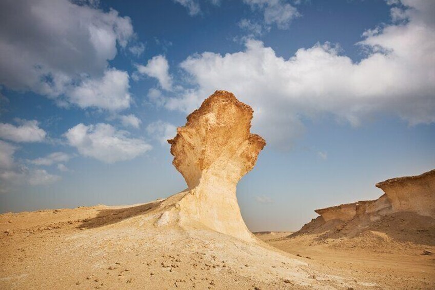 West Coast Tour in Zekreet Peninsula from Qatar