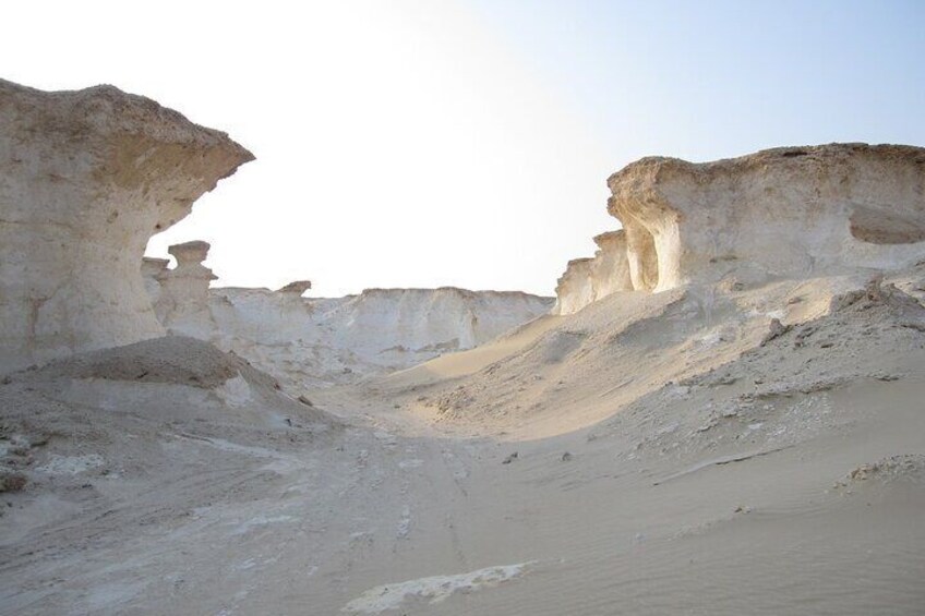 West Coast Tour in Zekreet Peninsula from Qatar