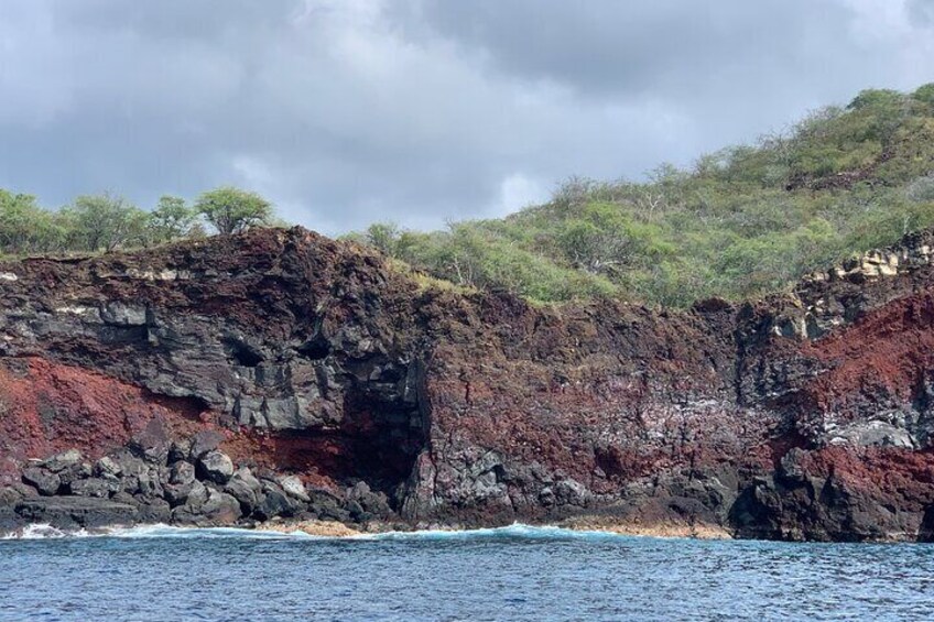 Guided Captain Cook Snorkel from Kailua-Kona to Kealakekua Bay