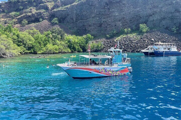 Captain Cook Reef Snorkeling of Kealakekua Bay