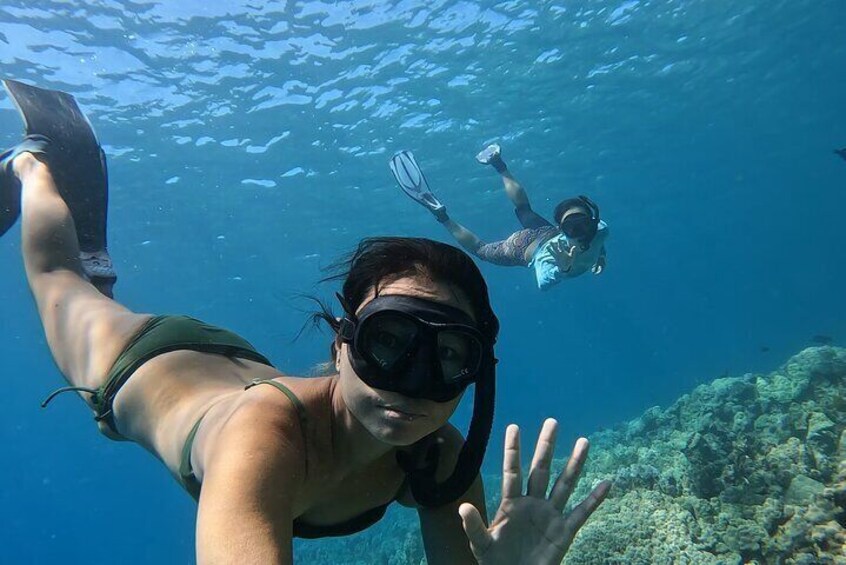 Guided Captain Cook Snorkel from Kailua-Kona to Kealakekua Bay