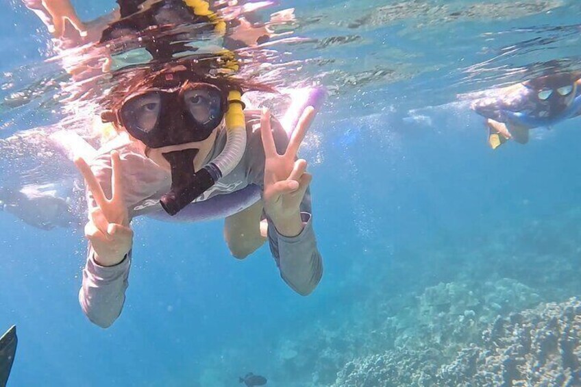 Guided Captain Cook Snorkel from Kailua-Kona to Kealakekua Bay