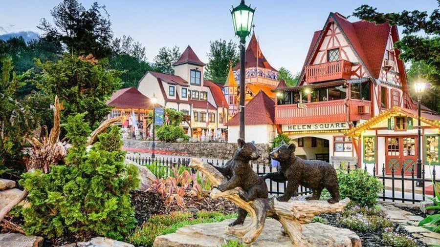 2 Hour Culture Tour in Helen