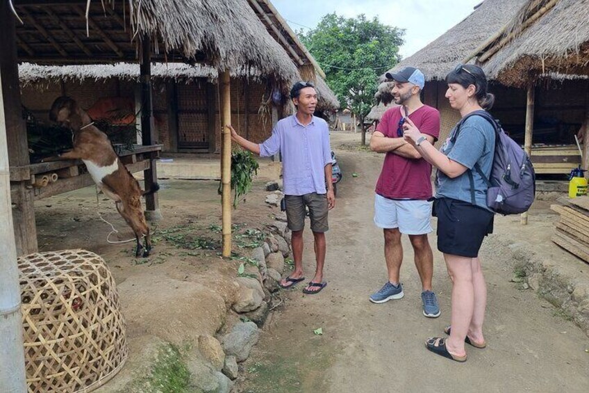 Senaru Sasak Traditional Village