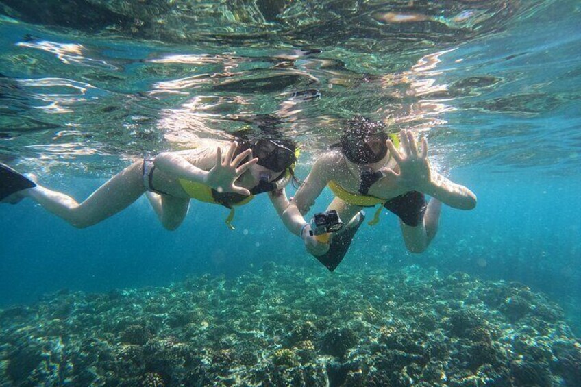 Beautiful snorkeling along the coast, with 6 guests max.!