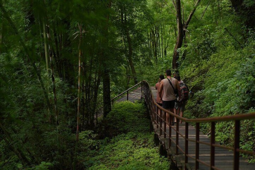 Trekking into the rain forest jungle.